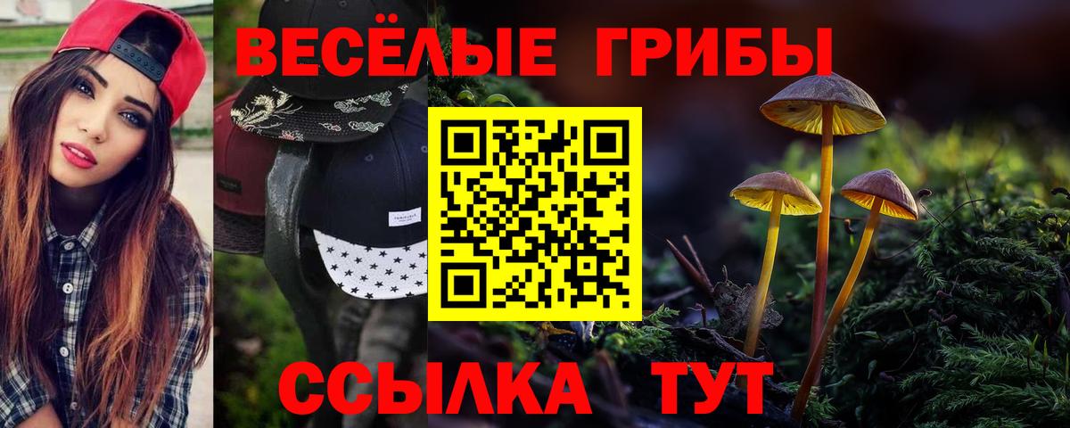 Псилоцибиновые грибы мухоморы  Вход с VPN  Тосно  Галлюциногенные грибы Magic Shrooms 